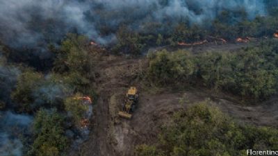 Focos de calor diminuem no Pantanal, mas situa��o ainda � de alerta