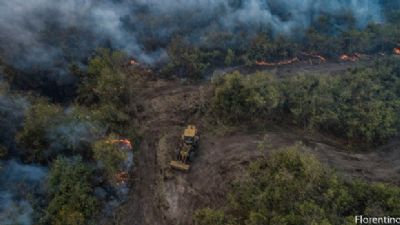 Queimadas no Pantanal s�o resultado de a��o humana; multa pode chegar a R$ 50 milh�es