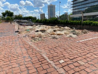 Piracema chega ao fim com uma tonelada de pescado apreendido e mais de R$ 305 mil em multas