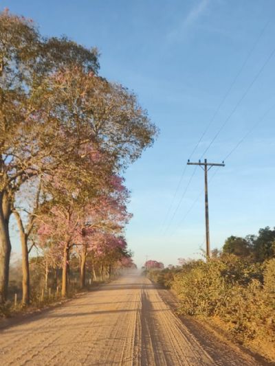 50 mil fam�lias produtoras de Mato Grosso podem ficar sem desconto de at� 67% na luz