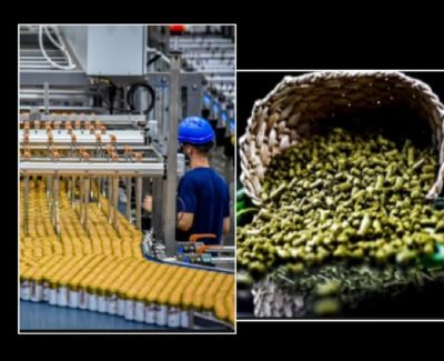 ​Dia da Cerveja comemorado com Beer Tour nas f�bricas do GRUPO PETR�POLIS!