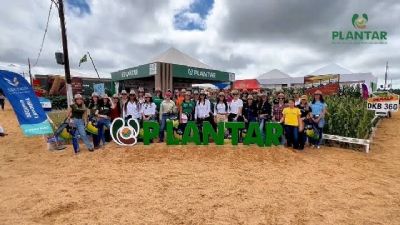 ​Plantar vai apresentar novas variedades de soja que ajudar�o os produtores na tomada de decis�es durante Norte Show 2024