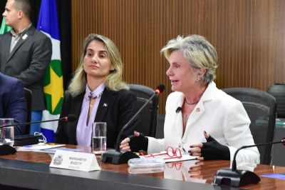 Senadora Margareth Buzetti  lidera discuss�o sobre medidas para o combate � viol�ncia contra a mulher