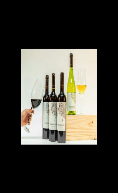 Metropolitano, linha de vinhos autorais do Grupo Wine, recebe medalhas Wine & Spirits Awards 2024.