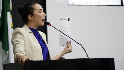 Maysa repudia deputado sobre protetiva: �fala grav�ssima�