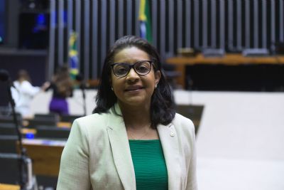 �Nos moldes que estavam postos, eu n�o estava a favor�, diz Gisela sobre PL da anistia