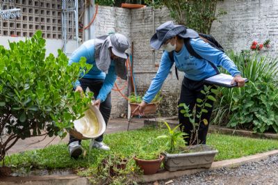 Cuiab� registra queda expressiva nos casos de Dengue e Chikungunya em 2026
