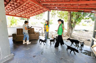 Bem-Estar Animal realizou 781 atendimentos no primeiro bimestre de 2026