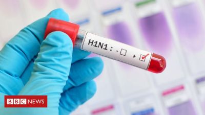 Por que o H1N1 n�o parou economias como a pandemia de coronav�rus?