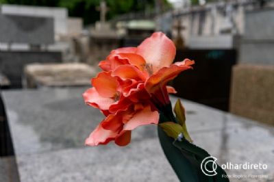 MT chega a mais de 4 mil mortos pela Covid-19; 83 a mais que ontem
