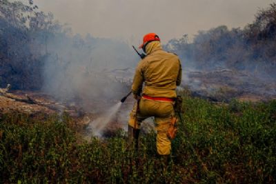 Bombeiros testam uso de retardantes para combater inc�ndios no Pantanal