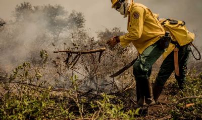 Inc�ndios no Pantanal j� consumiram este ano mais de 15% do bioma