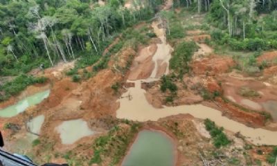 Justi�a Federal recebe den�ncia do MPF contra exploradores de garimpo ilegal em Terra Ind�gena