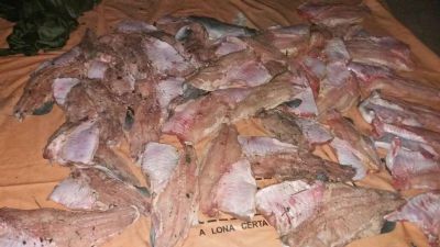 Tr�s pessoas s�o presas com 148 kg de pescado ilegal em Porto Cercado