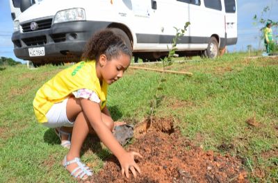 Escolas da rede p�blica Educa��o de Cuiab� aderem ao Projeto Verde Novo