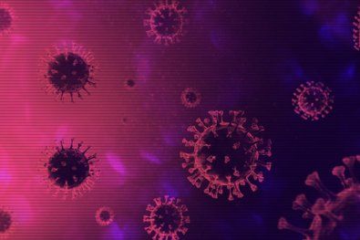 Estudo com outros coronav�rus mostra que imunidade pode durar poucos meses