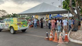 ​Prefeitura de Cuiab� realizar� uma semana dedicada � causa animal com a��es educativas e feiras de ado��o