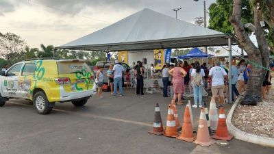 Bem-Estar Animal disponibilizar� 41 bichinhos � ado��o no Parque Tia Nair