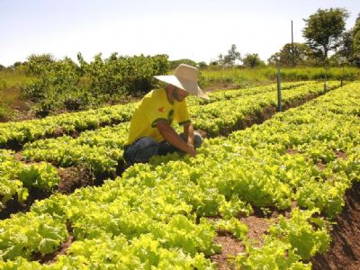 ​Sefaz reduz tempo para libera��o de inscri��o estadual de micro e produtores rurais