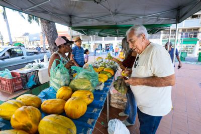 ​Pra�a Alencastro ser� palco da 4� edi��o da Feira da Agricultura Familiar nesta quarta