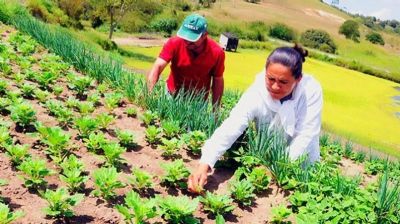 Deputados aprovam isen��o de ICMS para produtos da agricultura familiar