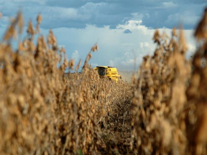 TJ aprova a��o que refor�a per�odo de defeso contra ferrugem asi�tica