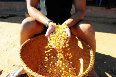 ​Brasil ocupa 38�. posi��o em �ndice de seguran�a alimentar