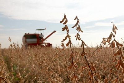 Agropecu�ria tem o pior resultado entre todos os setores da economia