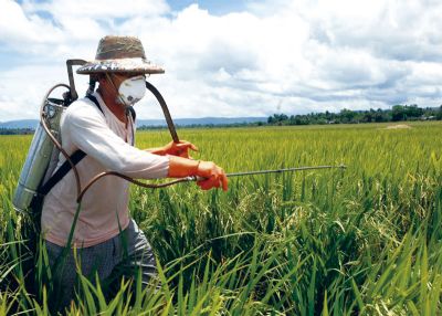 F�rum de Luta Contra os Impactos dos Agrot�xicos na Regi�o Sul promove reuni�o nesta ter�a-feira