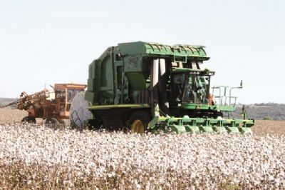 N�meros s�o retificados e Campo Verde � o 7� no agroneg�cio em Mato Grosso