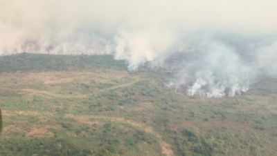 Inc�ndio no Pantanal j� atinge 40 mil hectares e aparece nos sat�lites da Nasa