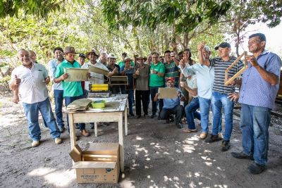 ​Cria��o de cooperativa impulsiona avan�o da cadeia da apicultura, que faz parte do programa Agro da Gente