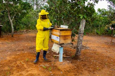 F�rum sobre cadeias produtivas da agricultura familiar acontece nesta quinta