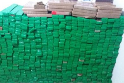 Pol�cia Civil apreende mais de 700 quilos de maconha em MT