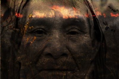 Artistas lan�am exposi��o online sobre as queimadas em Mato Grosso