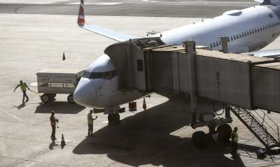 Comiss�o do governo vai definir regras para transporte a�reo de pets