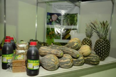 S�bado � dia de Feira da Agricultura Familiar em Livramento