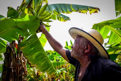 ​Cinco projetos de pesquisas na �rea da agricultura familiar s�o aprovados pelo Governo de MT