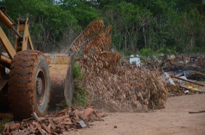 Prefeitura inicia retirada de bols�o de lixo de mais de 500 metros no Santa Am�lia