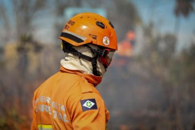 Per�odo proibitivo do uso de fogo na Amaz�nia e Cerrado come�a nesta segunda