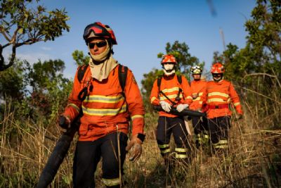 ​Governo de MT prorroga per�odo proibitivo para queimadas at� 30 de novembro