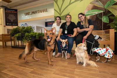 ​Exposi��o fotogr�fica de c�es especiais que aguardam um lar pode ser conferida em shopping da capital