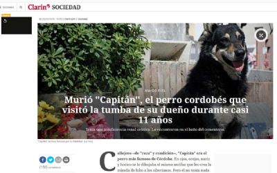 Morre c�o que zelou por t�mulo do seu dono durante 10 anos na Argentina