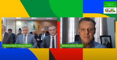 Governo editar� medida tribut�ria para socorrer a cadeia produtiva do leite