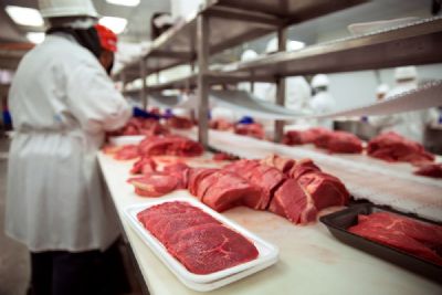 Exporta��o da carne de Mato Grosso diminui