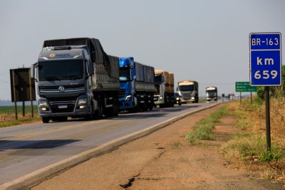 ​Motoristas das categorias C, D e E com exame toxicol�gico vencido t�m at� o dia 28 para regulariza��o