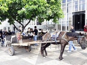 C�mara aprova lei que pro�be circula��o de carro�as puxadas por tra��o animal em �reas urbanas