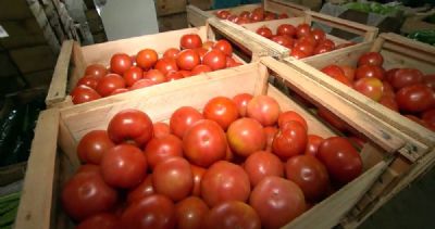 Pre�o do tomate sobe mais de 70% em Mato Grosso, aponta IBGE