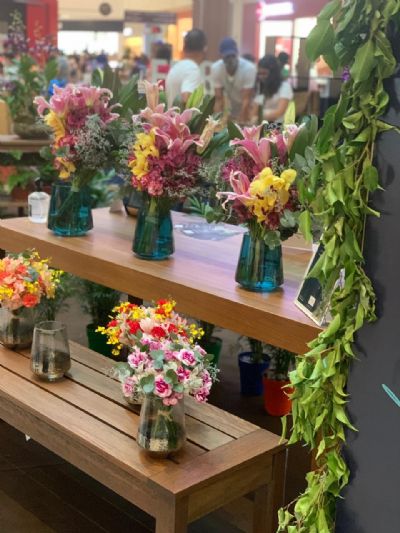 Primavere-se � Cuiab� recebe Festival de Flores