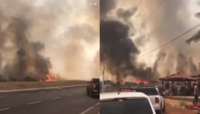 Fogo volta a atingir vegeta��o �s margens da �Estrada da Chapada�